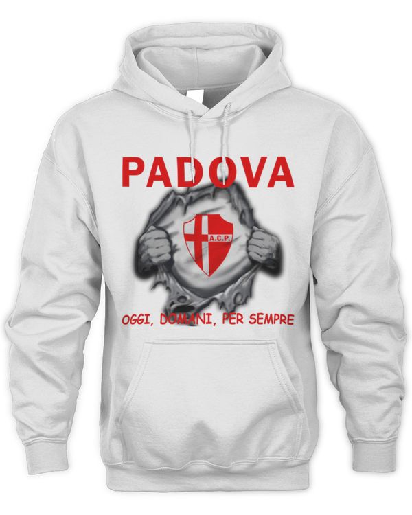 Calcio Padova today Forever ITA