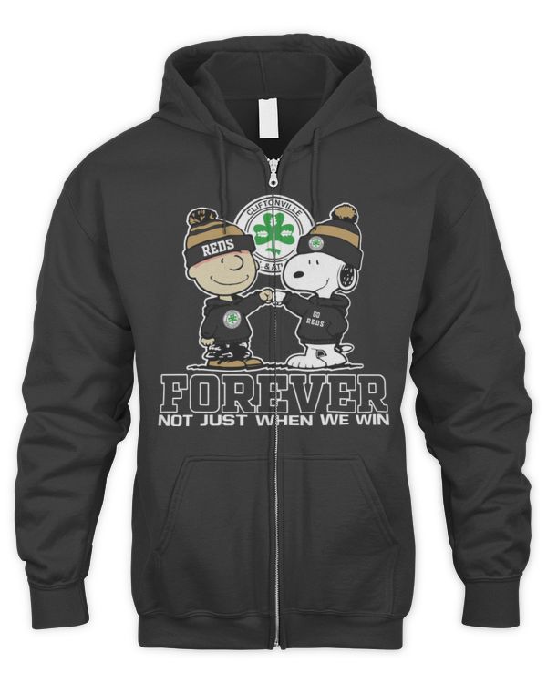Men's Zip Hoodie