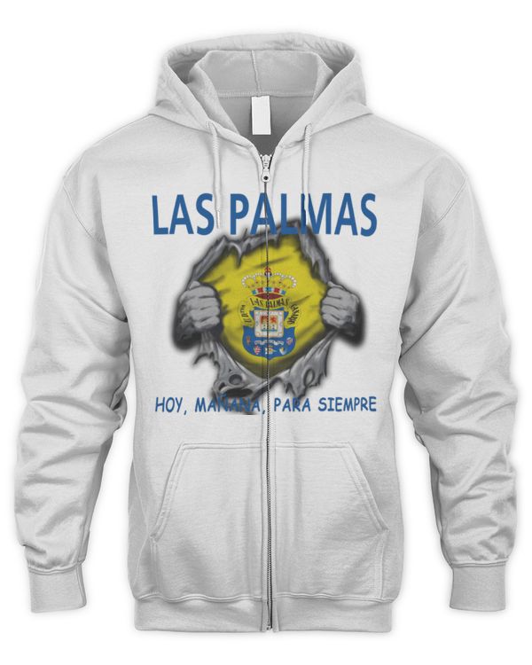 Men's Zip Hoodie