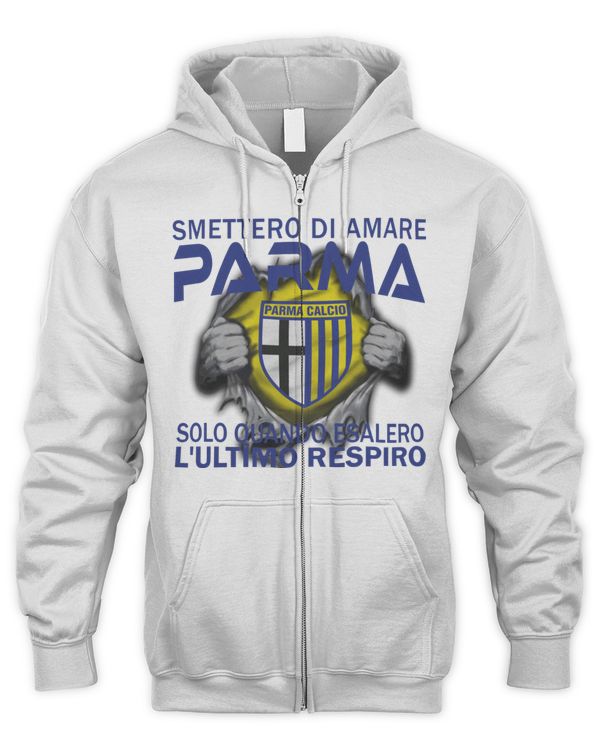 Men's Zip Hoodie