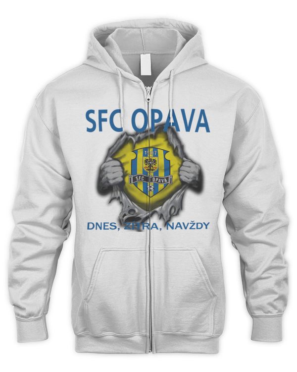 Men's Zip Hoodie