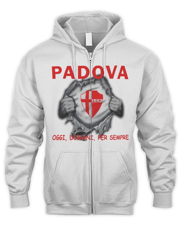 Men's Zip Hoodie