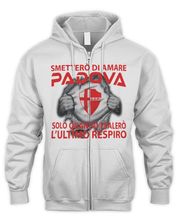 Men's Zip Hoodie