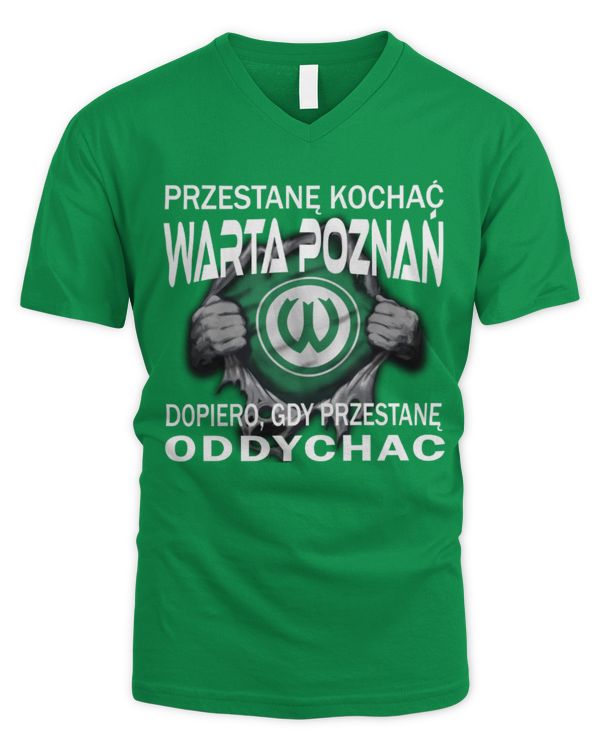 Men's V-Neck T-Shirt