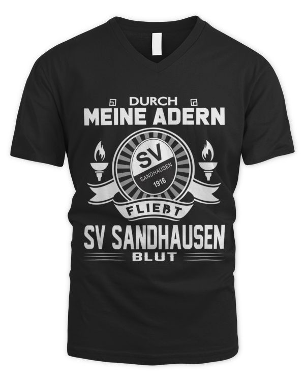Men's V-Neck T-Shirt