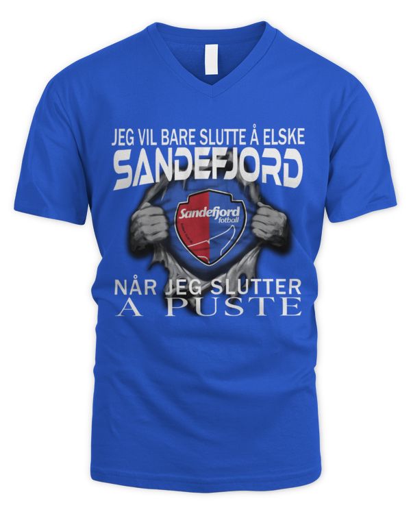 Men's V-Neck T-Shirt
