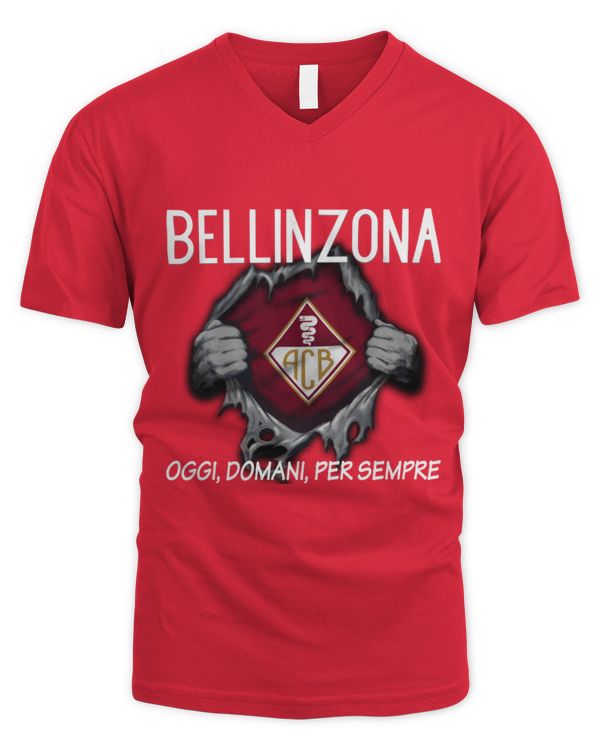Men's V-Neck T-Shirt