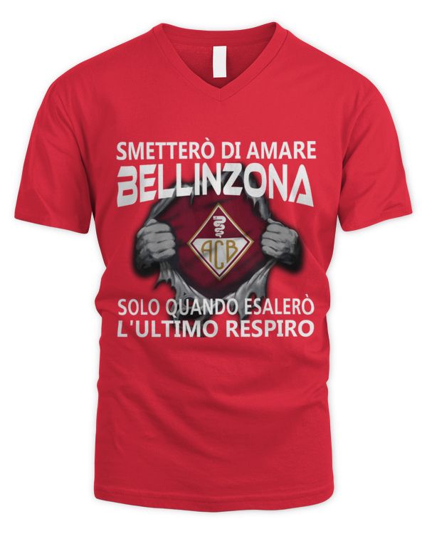 Men's V-Neck T-Shirt