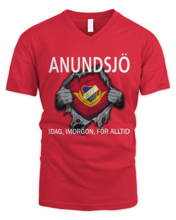 Men's V-Neck T-Shirt