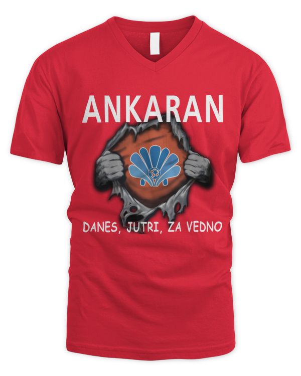Men's V-Neck T-Shirt