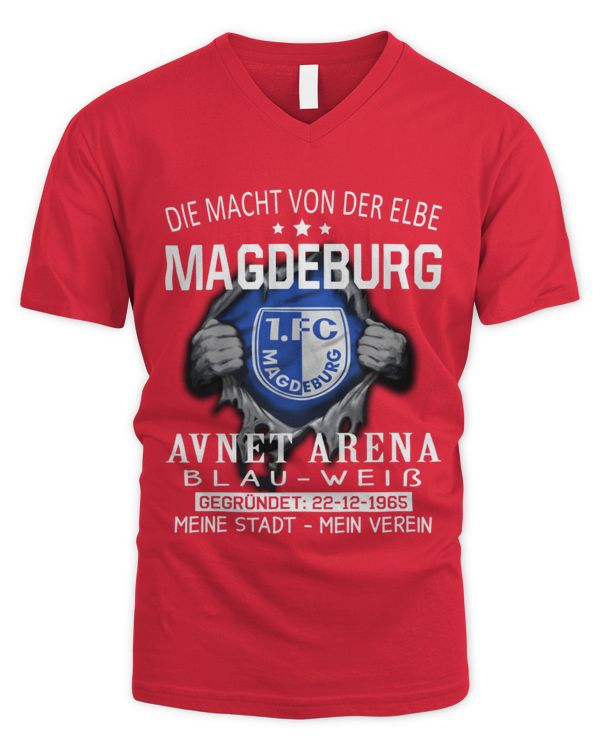 Men's V-Neck T-Shirt