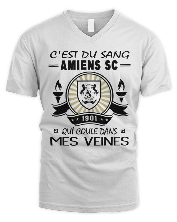 Men's V-Neck T-Shirt