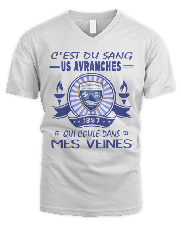 Men's V-Neck T-Shirt