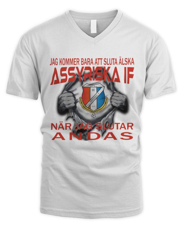 Men's V-Neck T-Shirt