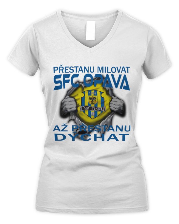Women's V-Neck T-Shirt