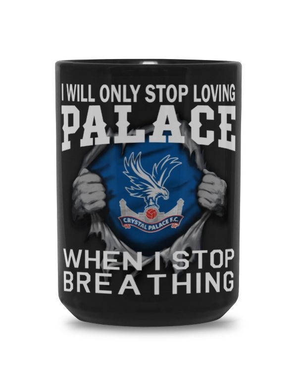 Black Mug 15oz